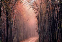 德信体育:101分钟绝平!世预赛伊拉克补时阶段连进两球,2-2战平科威特.