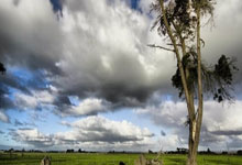 拉皮尼亚进球 10人巴塞客场力挫本菲卡.