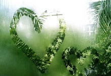 德信体育:国羽锁定瑞士赛女双、混双冠亚军.