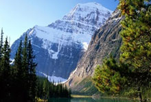 中澳之战球票已炒至上万元,或70000人现场观战九派新闻.