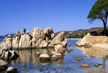 德信体育:王楚钦一个动作逗笑两个女裁判,丝滑接球柔若无骨,一本正经可爱不自知.